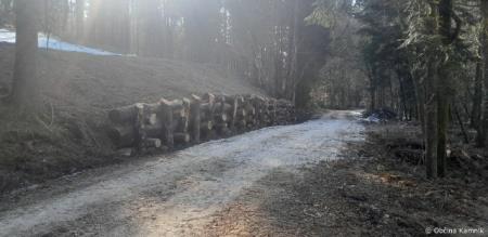 Sanacija plazu na gozdni cesti Vrtače-Golob (3)